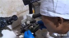 收集和平易近间上传播猪肉带有寄生虫等疾病的
